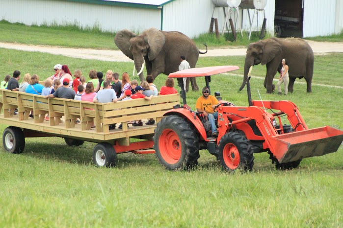 French Lick_Wilstem Ranch - Elephant Retreat.jpg