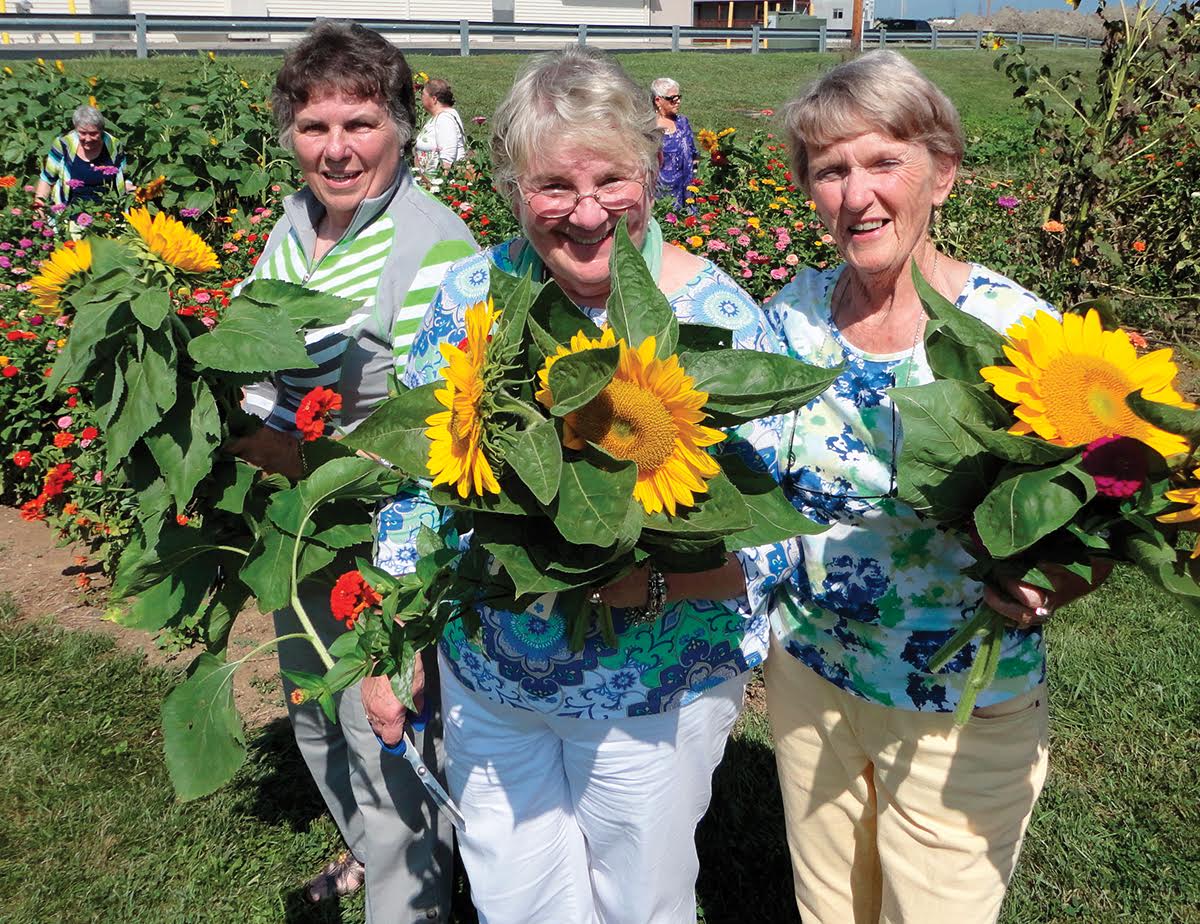 DearbornCountyCVB_Harvesting sunflowers for arrangements at McCabe's Greenhouse & Floral.jpg