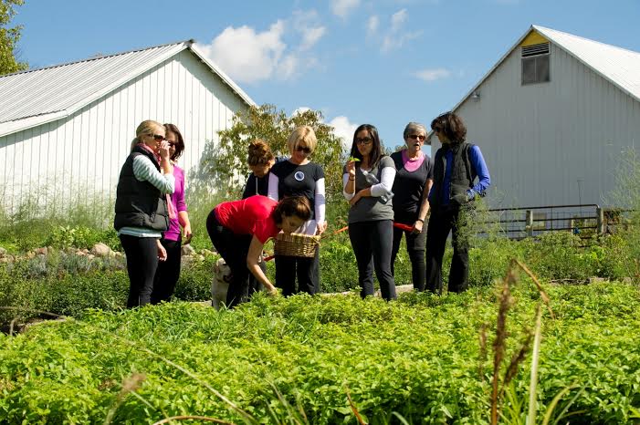 Gahanna_HerbGarden.jpg