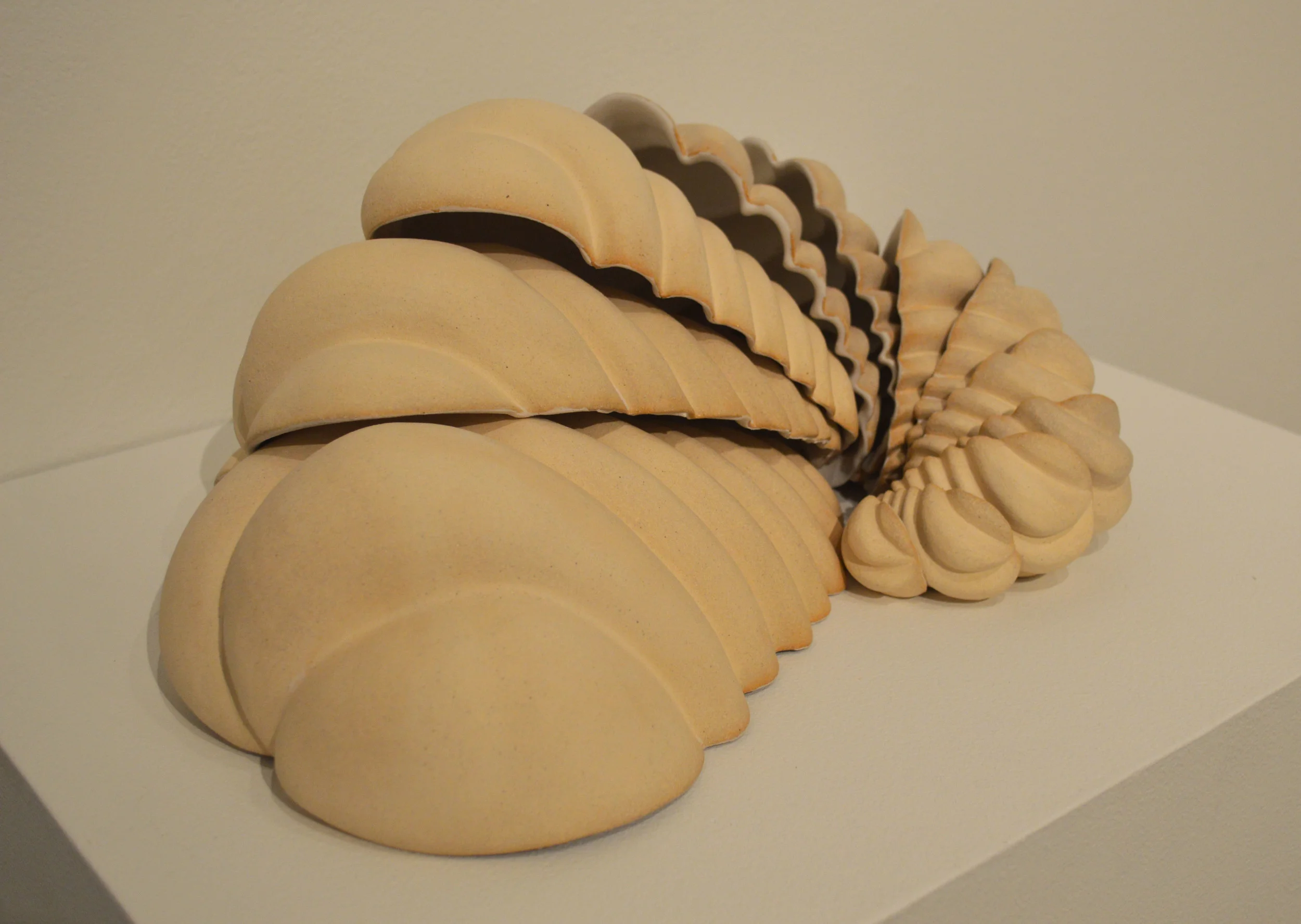 Fossilized