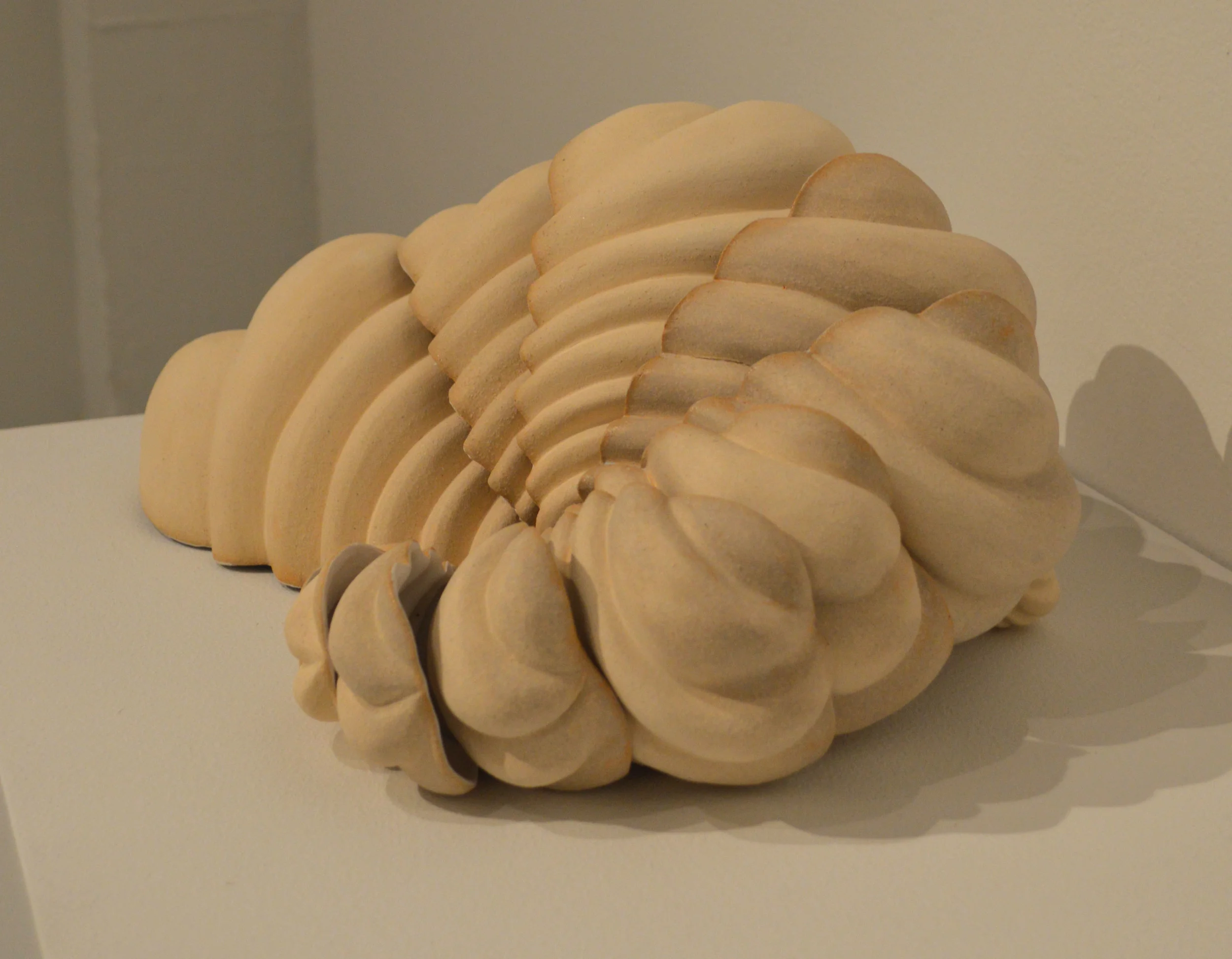 Fossilized