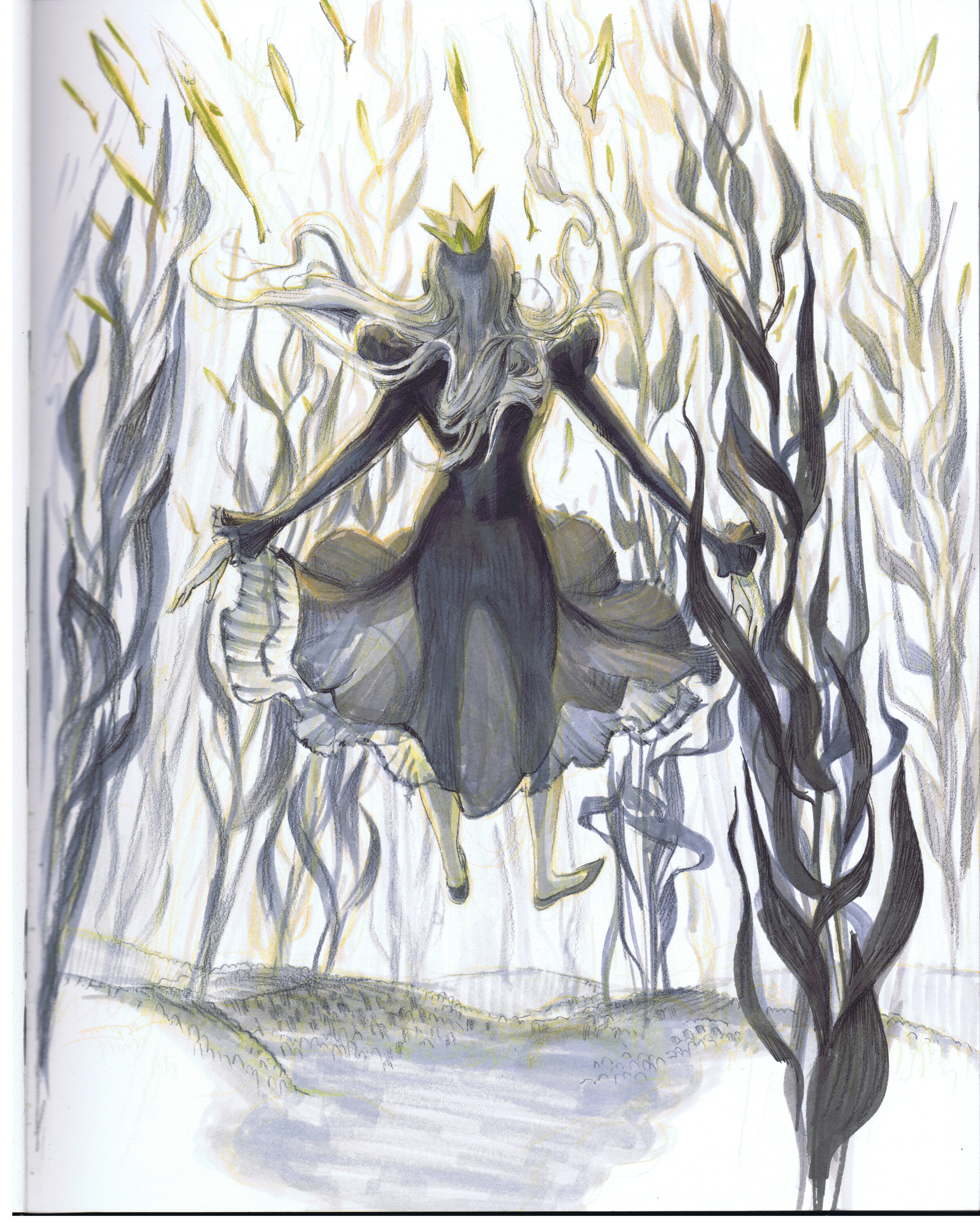 Image (964).jpg