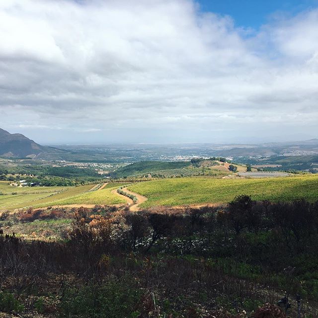 We&rsquo;re taking a mental trip to magnificent Stellenbosch on this #traveltuesday. Where will you go in your daydreams? .
.
.
.
.
#southafrica #travel #stellenbosch #winecountry #wine #instagood #instatravel #travelphotography #wanderlust #wanderer