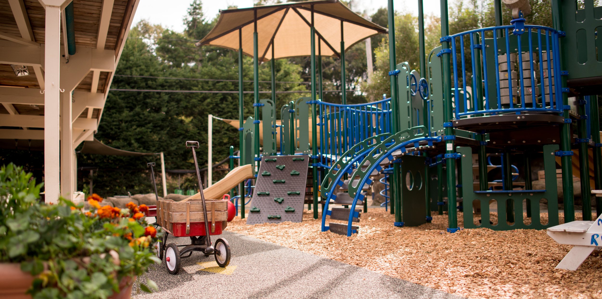 RossValleyNurserySchool-NEW CROP.jpg