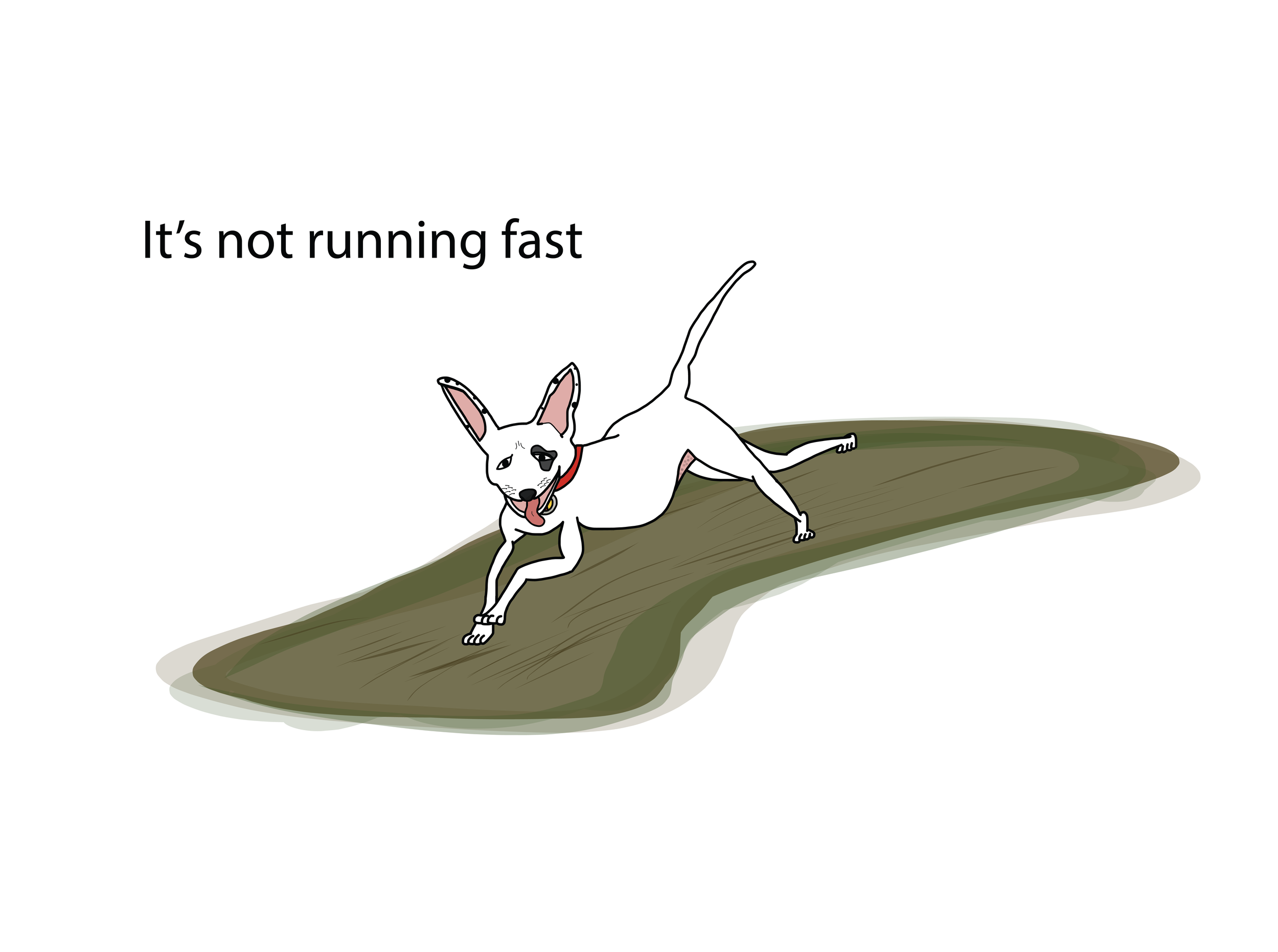 Piper 6.png