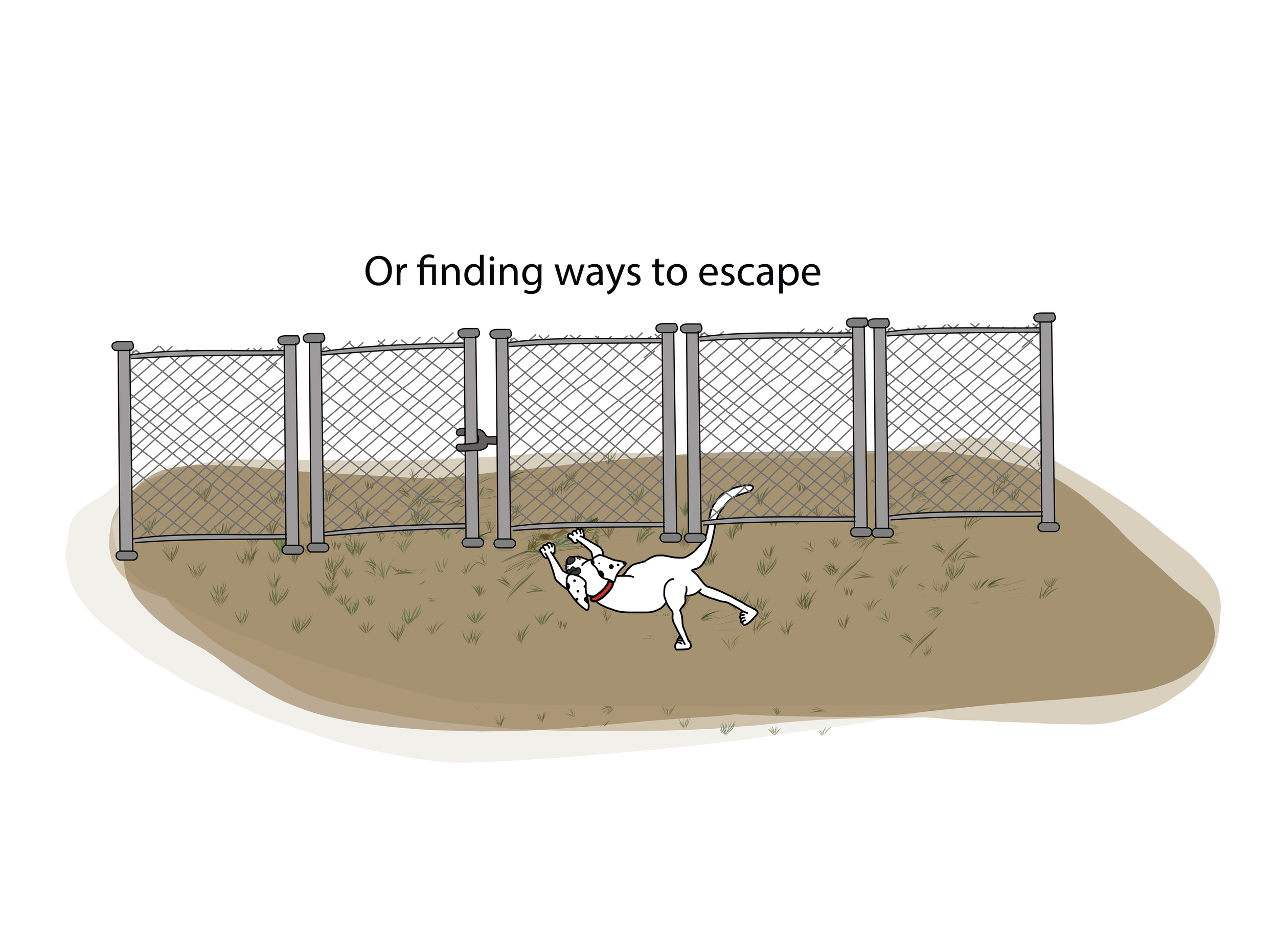 Piper 7.png