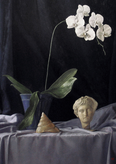 Orchids and Shell