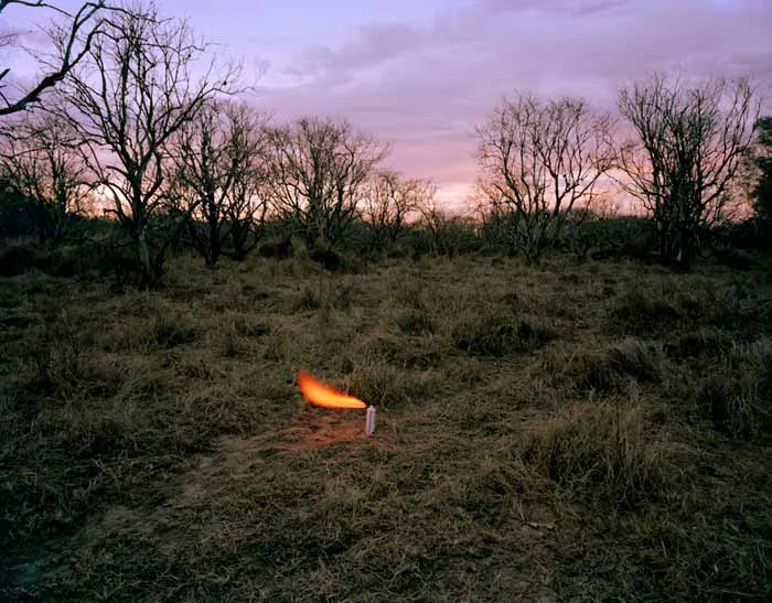 AN AEROSOL CONTAINER IN AN ABANDONED ORCHARD