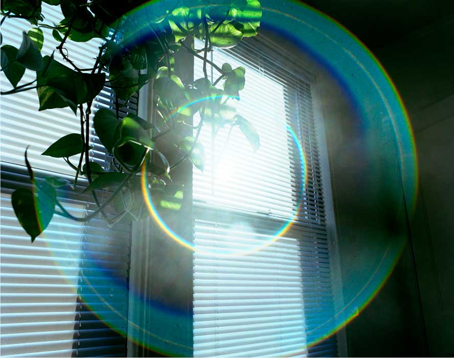 THE VIEW THROUGH MY WINDOW