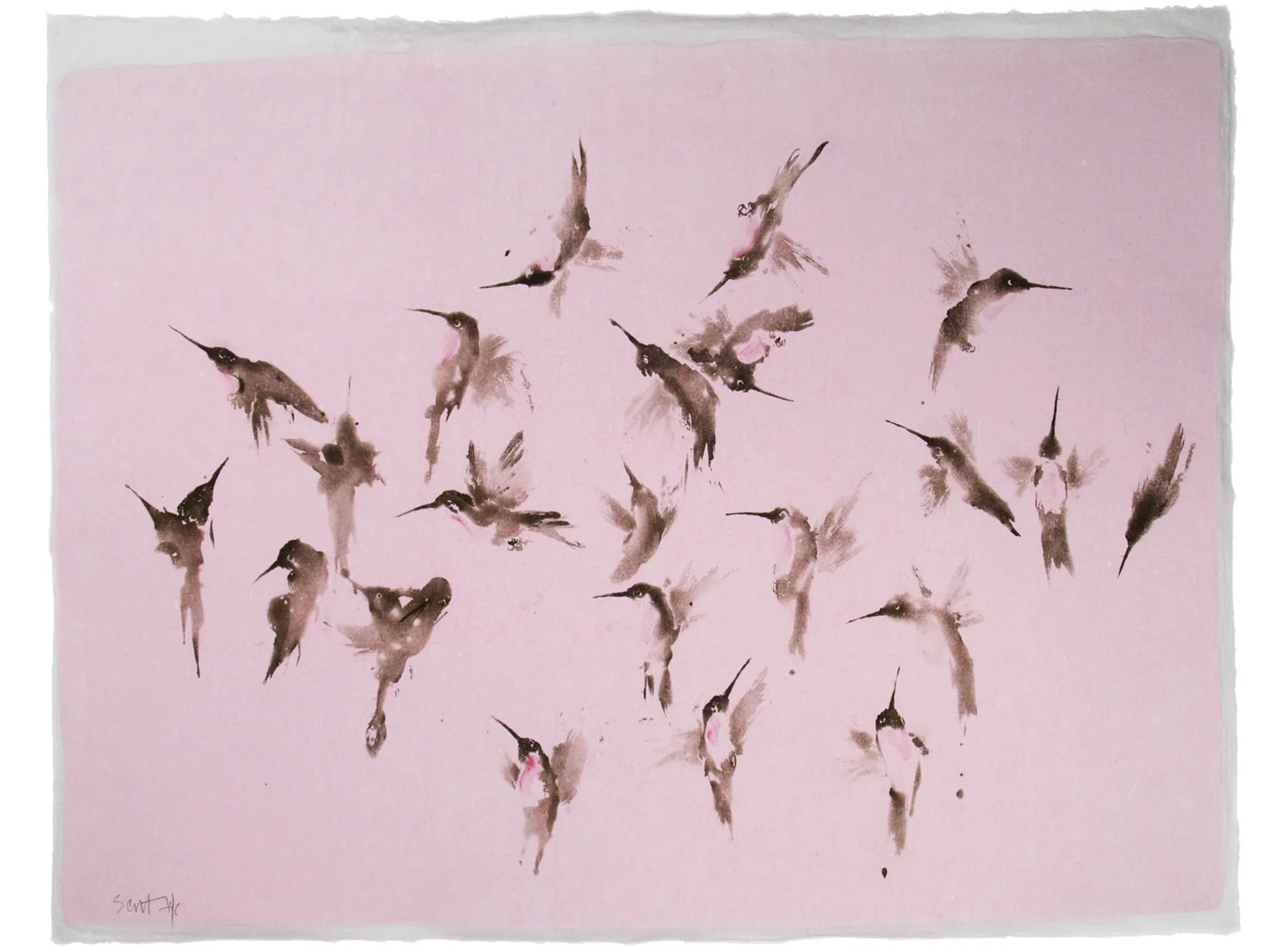 SCOTT FIFE Hummingbirds (pink)