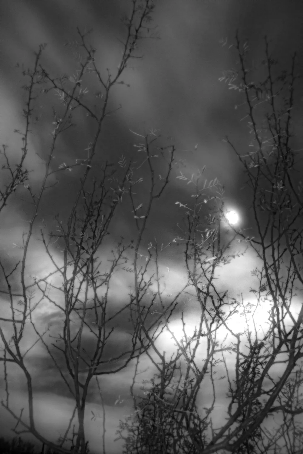 Afternoon-StormC72.jpg