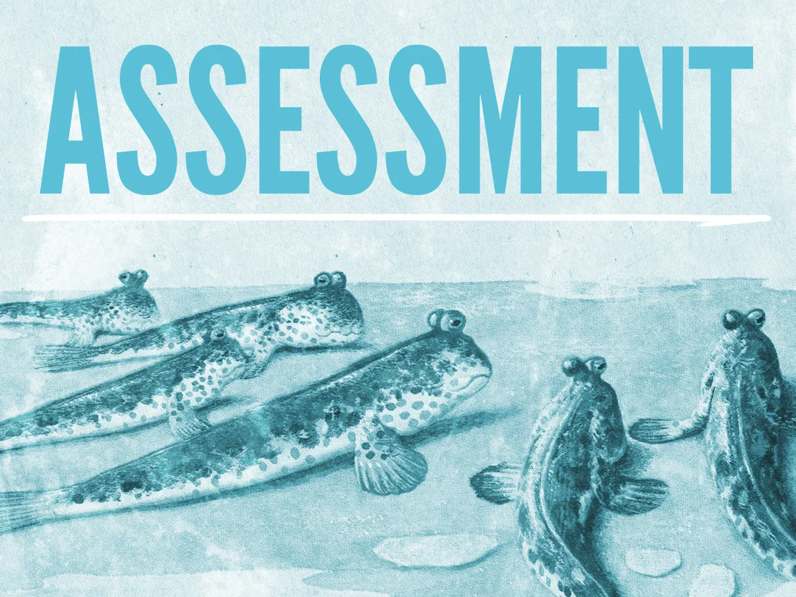 Assessment