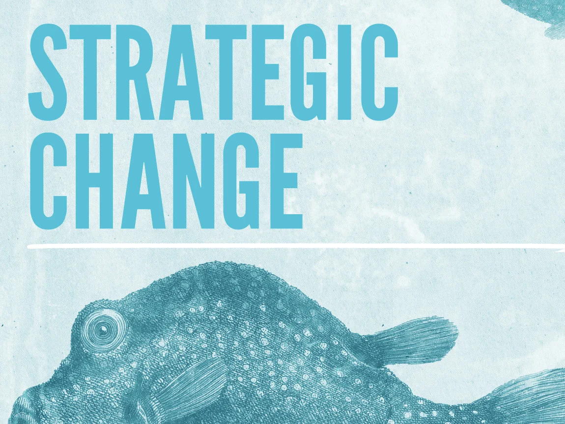 Strategic Change