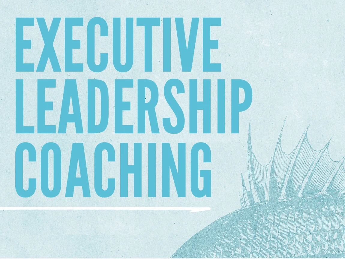 Executive Leadership Coaching