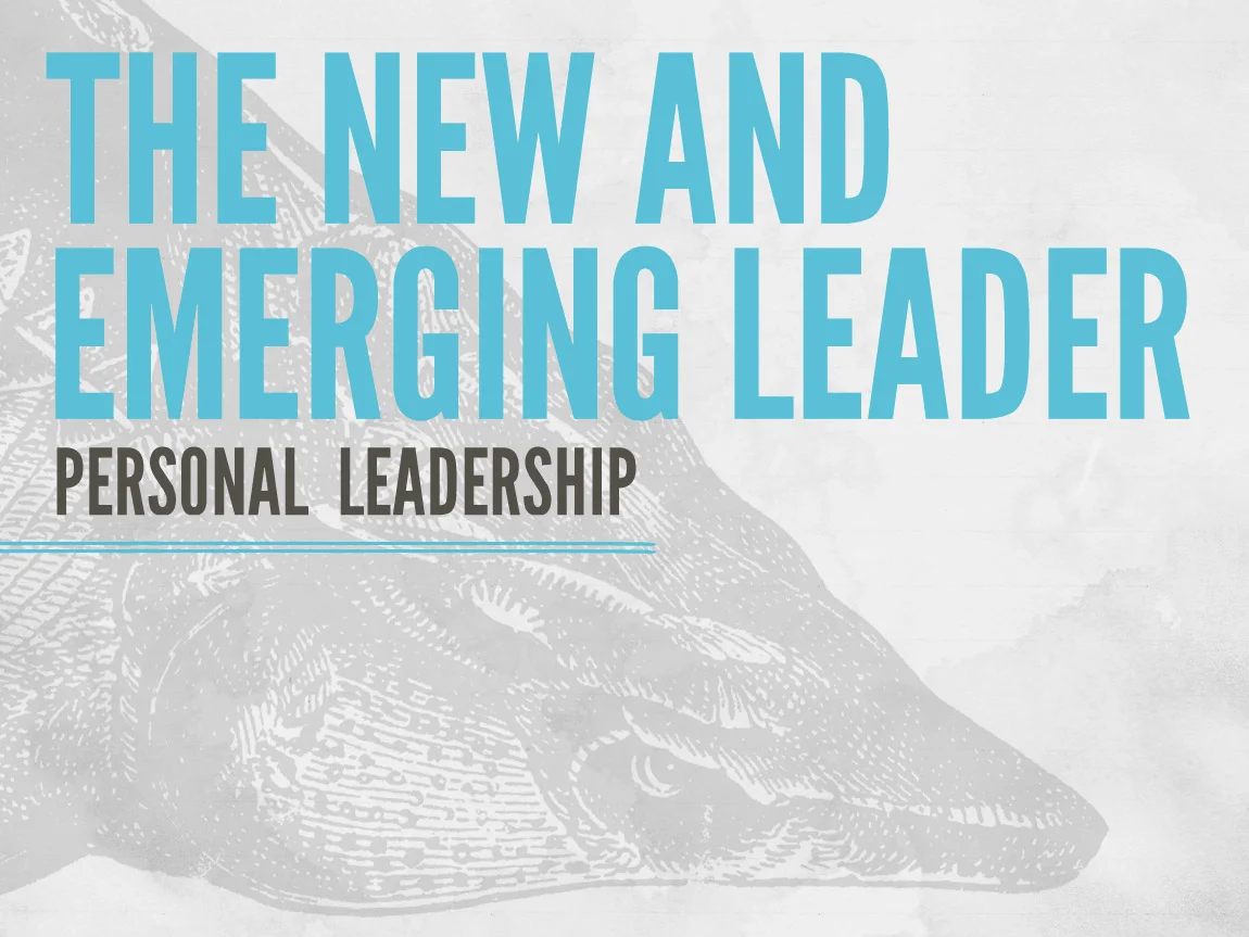 The New and Emerging Leader