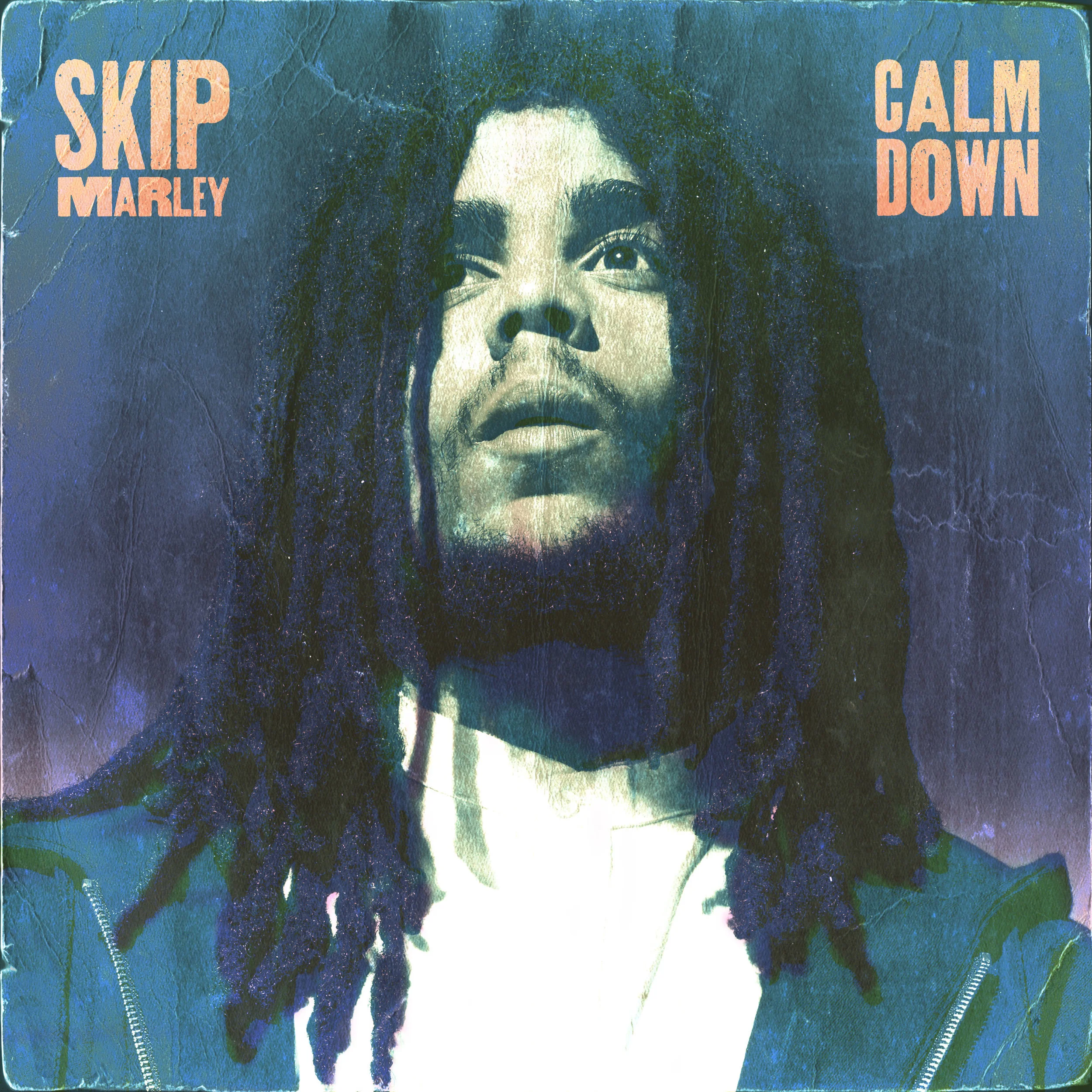 SkipMarley_CalmDown_FINAL.jpg