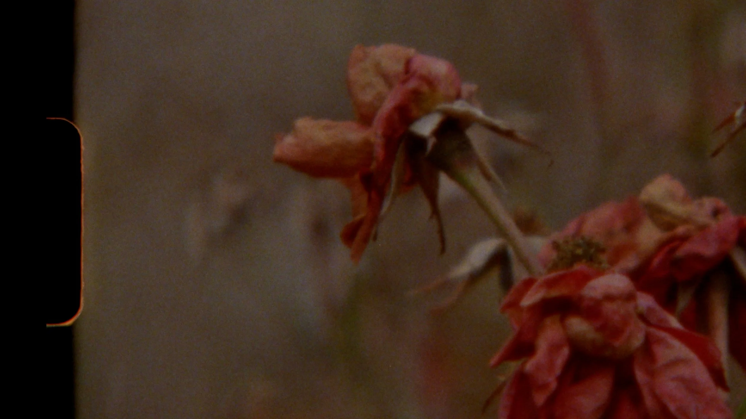 Lawrence Kim - "Madeleine" (Official Video)