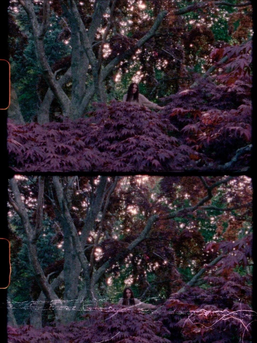 🍂 @hannahhillmusic filmed on super 8 this summer for her gorgeous new project, underbelly, just released this last friday 🍂

my bestie and longtime collaborator @noagriffel set the creative on this project for both stills and video, pulling from na