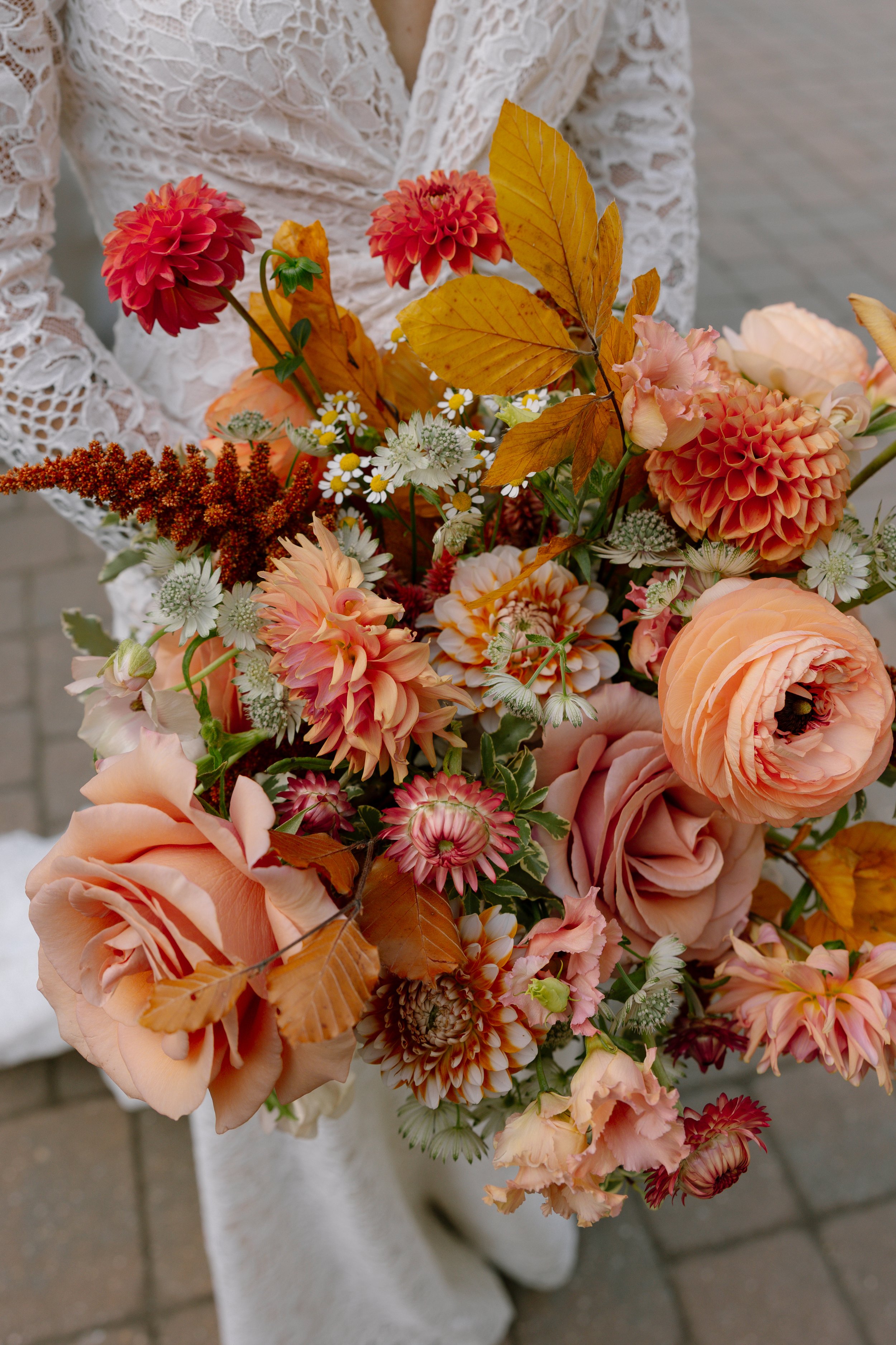 Fern What It’s Worth: February 2026