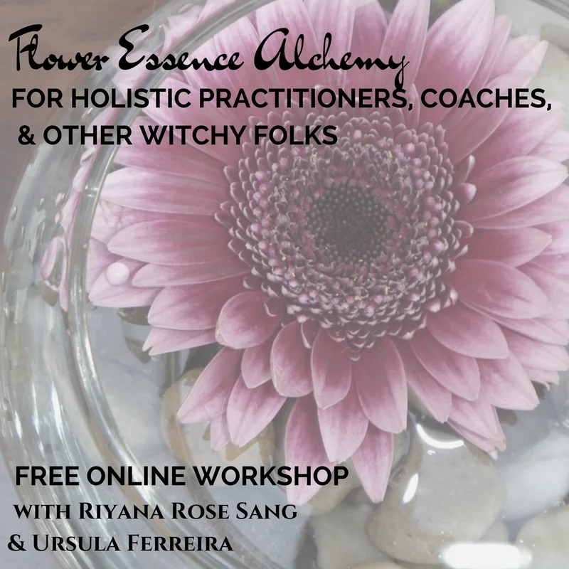 Flower Essence Alchemy for Heart and Soul.jpg