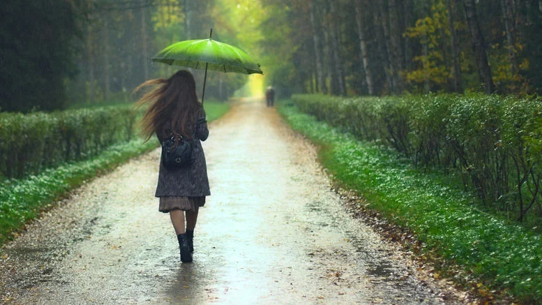 walking in woods.jpg