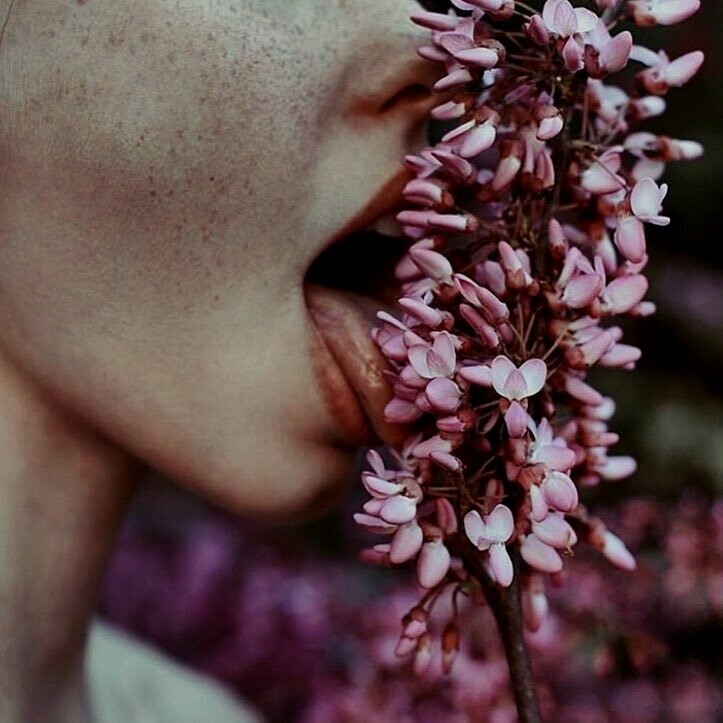 eating+flowers.jpg
