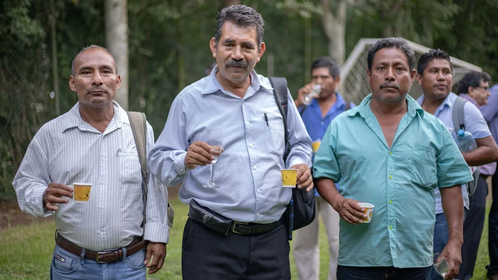 taza-de-excelencia-xalapa-02.jpg