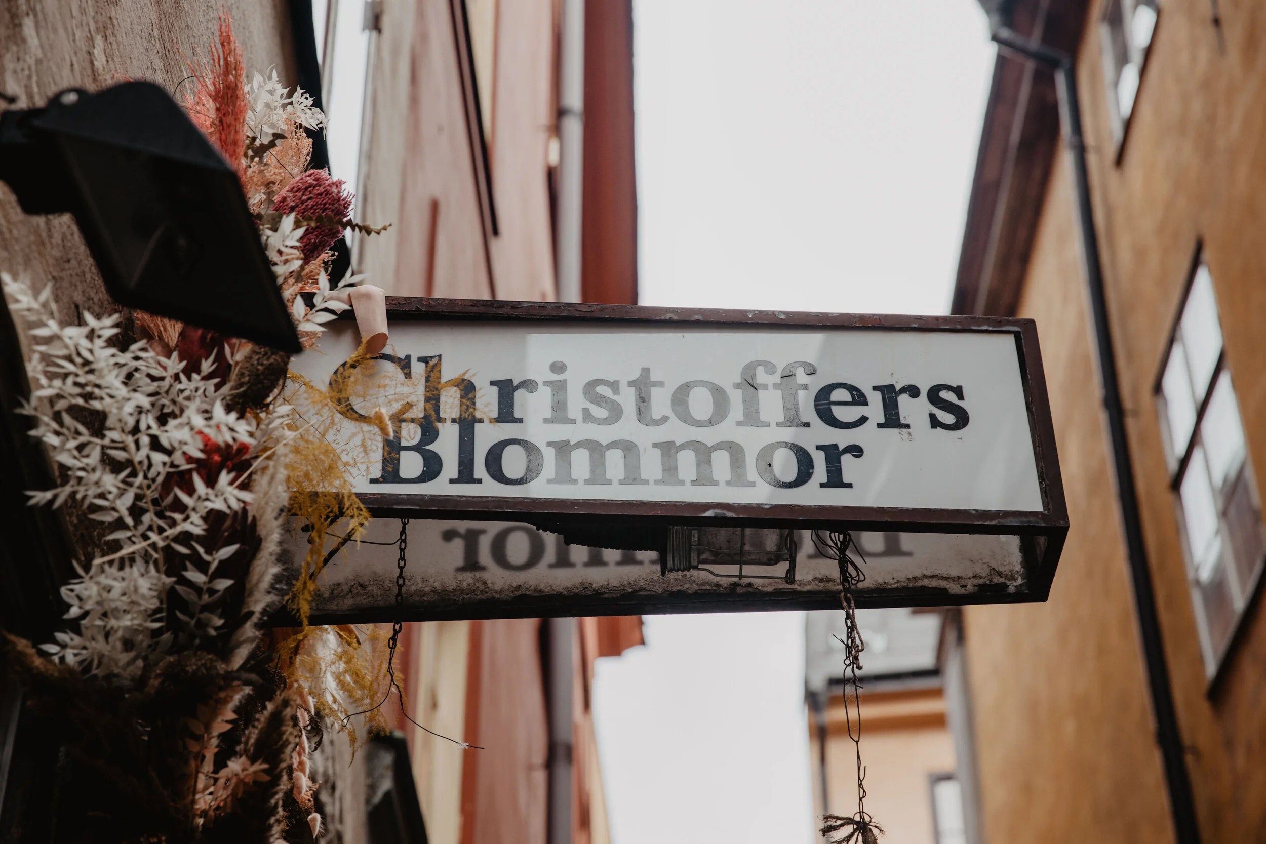 Christoffer start-8546.jpg