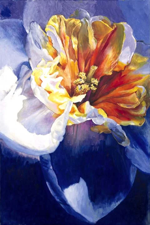 Midnight Bloom