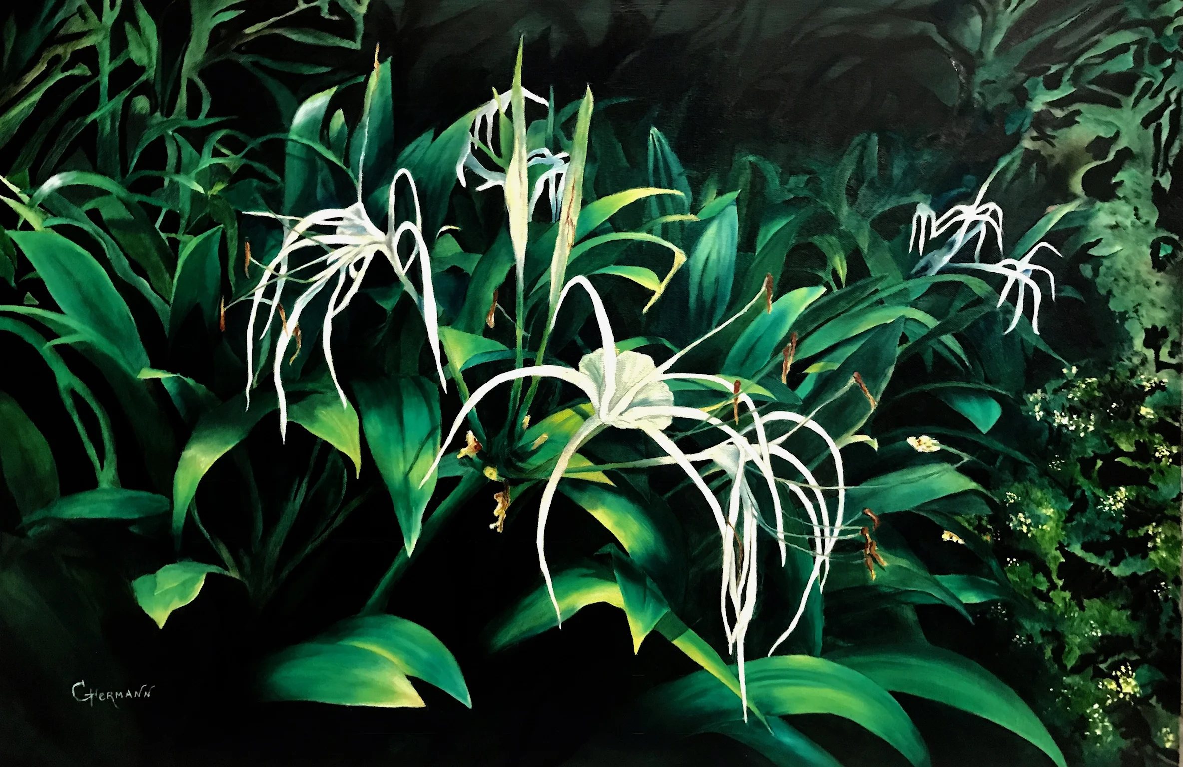 Lilies