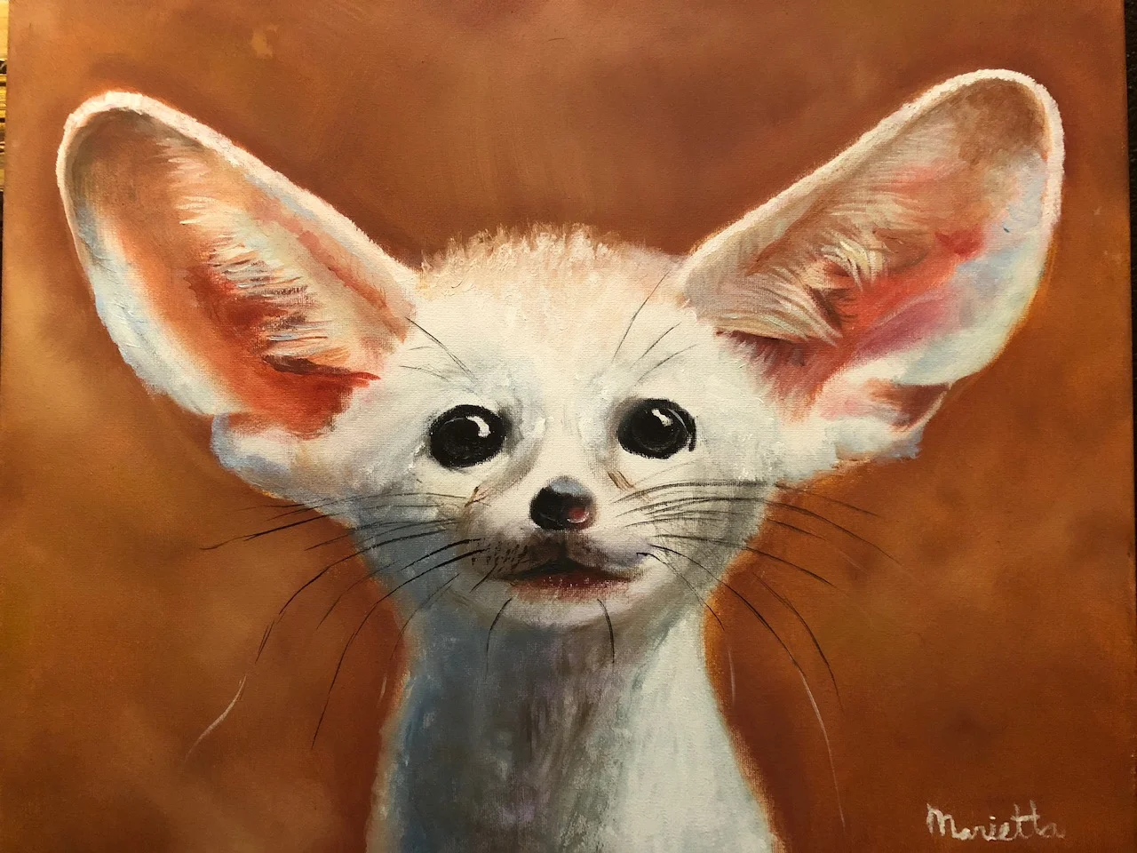 Big Ears Little Nose