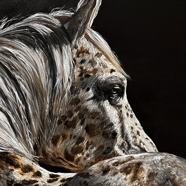 ENCHANT. AN EXHIBITION TO INSPIRE.