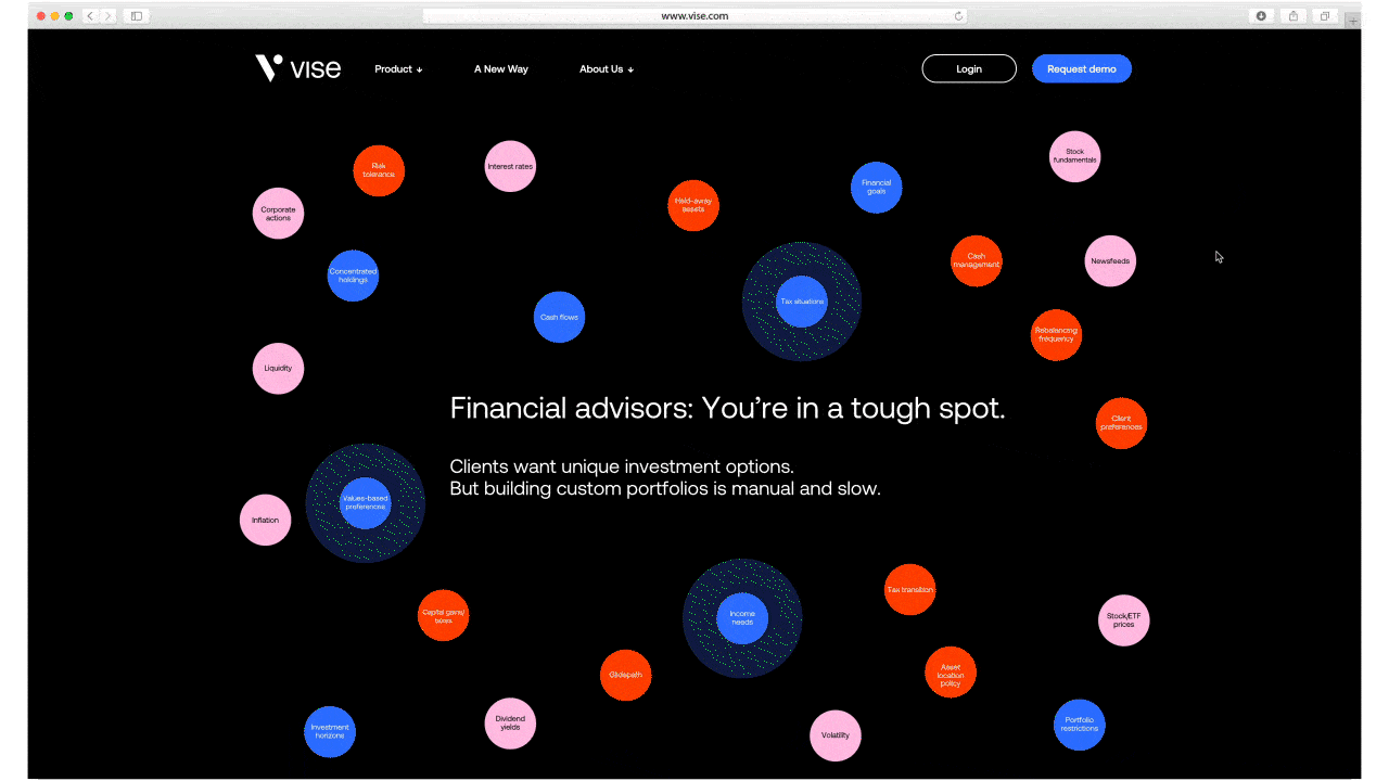 Vise_homepage2.gif