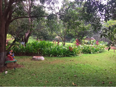 The members of the community have re-created the original village atmosphere of Vrindavan, the eternal spiritual home of Krishna and his most beloved devotees. While walking mindfully and devotionally through Vrindavana within the Eco-Village, one is reminded at every step of Krishna and his exceedingly wonderful pastimes.