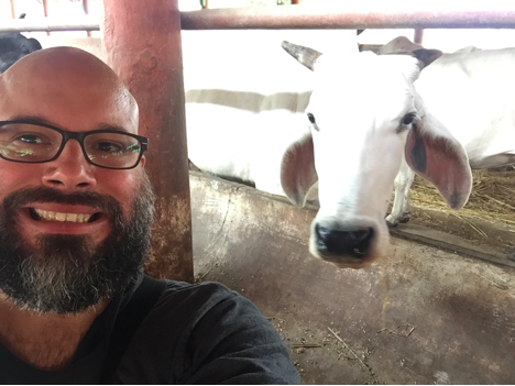 Your author subjects the cows to hipster doofus selfies...