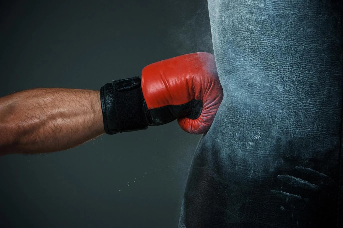 boxing-header.jpg