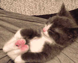 stretch.gif