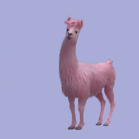 This pink llama is just so excited that you have so many options for how to wear Zorpads!