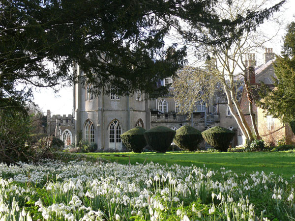 1-snow-drops.jpg