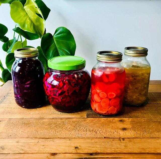 Can you ever really have too many pickles?🤔⁠⠀ Like most of us I have become so aware lately of not wanting to waste any food....... and this is what happened.  A new hobby pickling and fermenting.  My Nan would be proud I'm sure!⁠⠀
⁠⠀
#stayhome #cov
