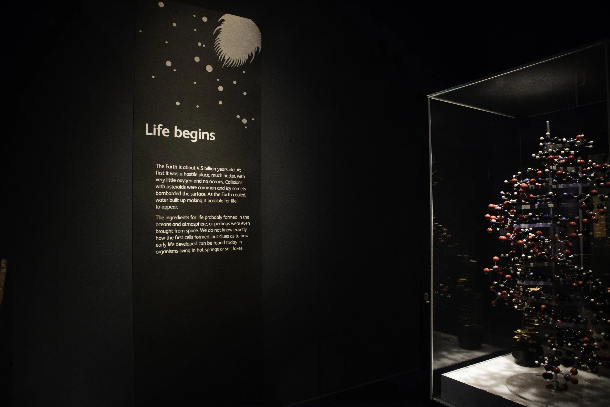 An Expanse of Stardust - WML_2.jpg