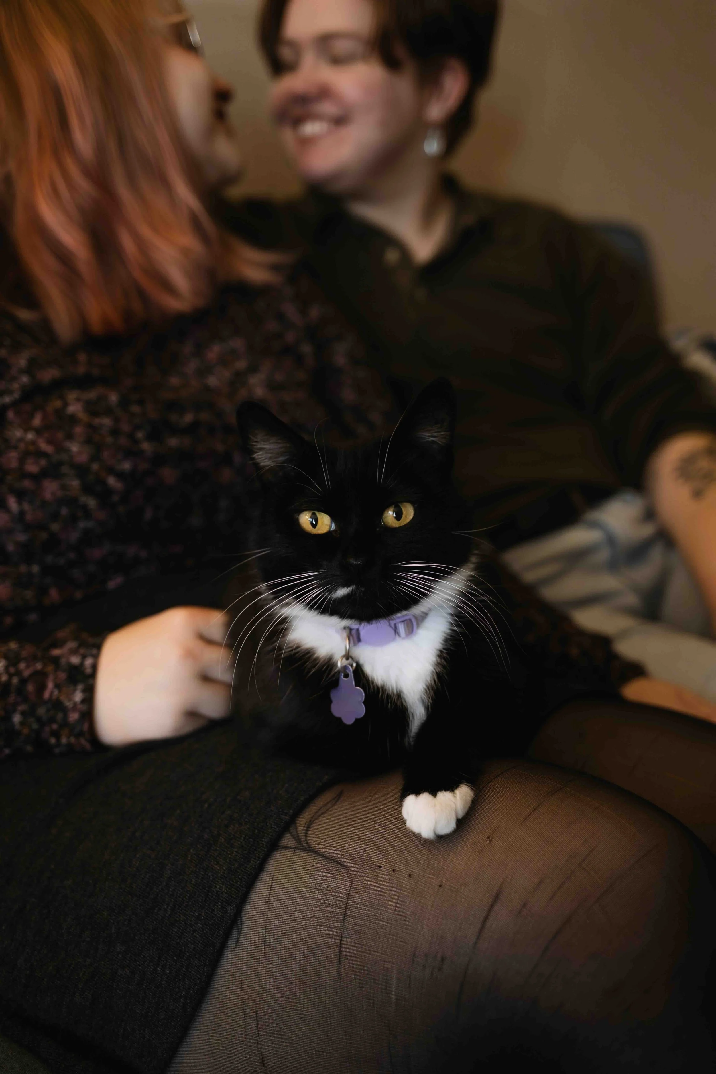 A cat sits on the lap of a queer Vancouver couple
