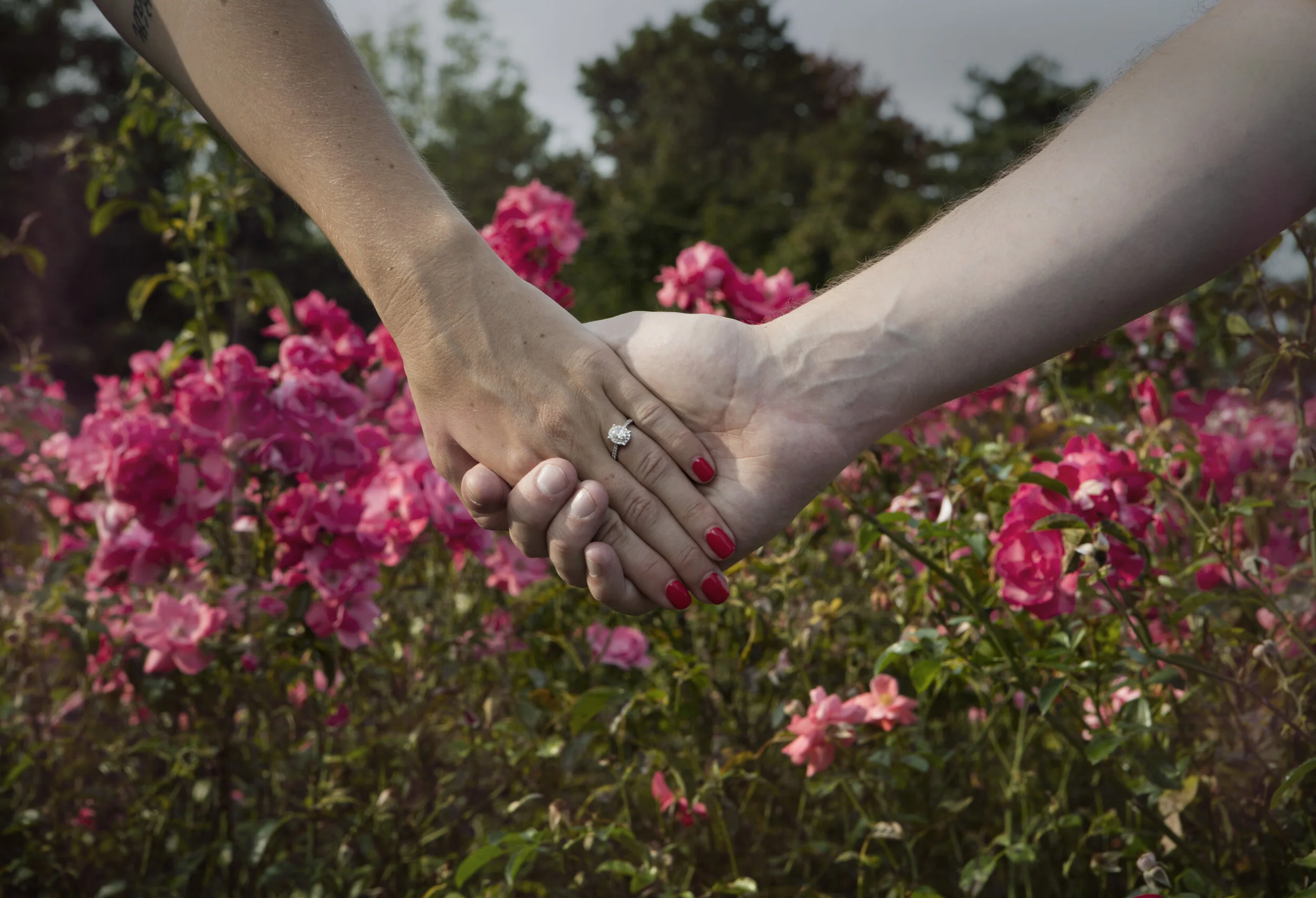 Aly_EngagementPhotos_09_moreColorful.jpg