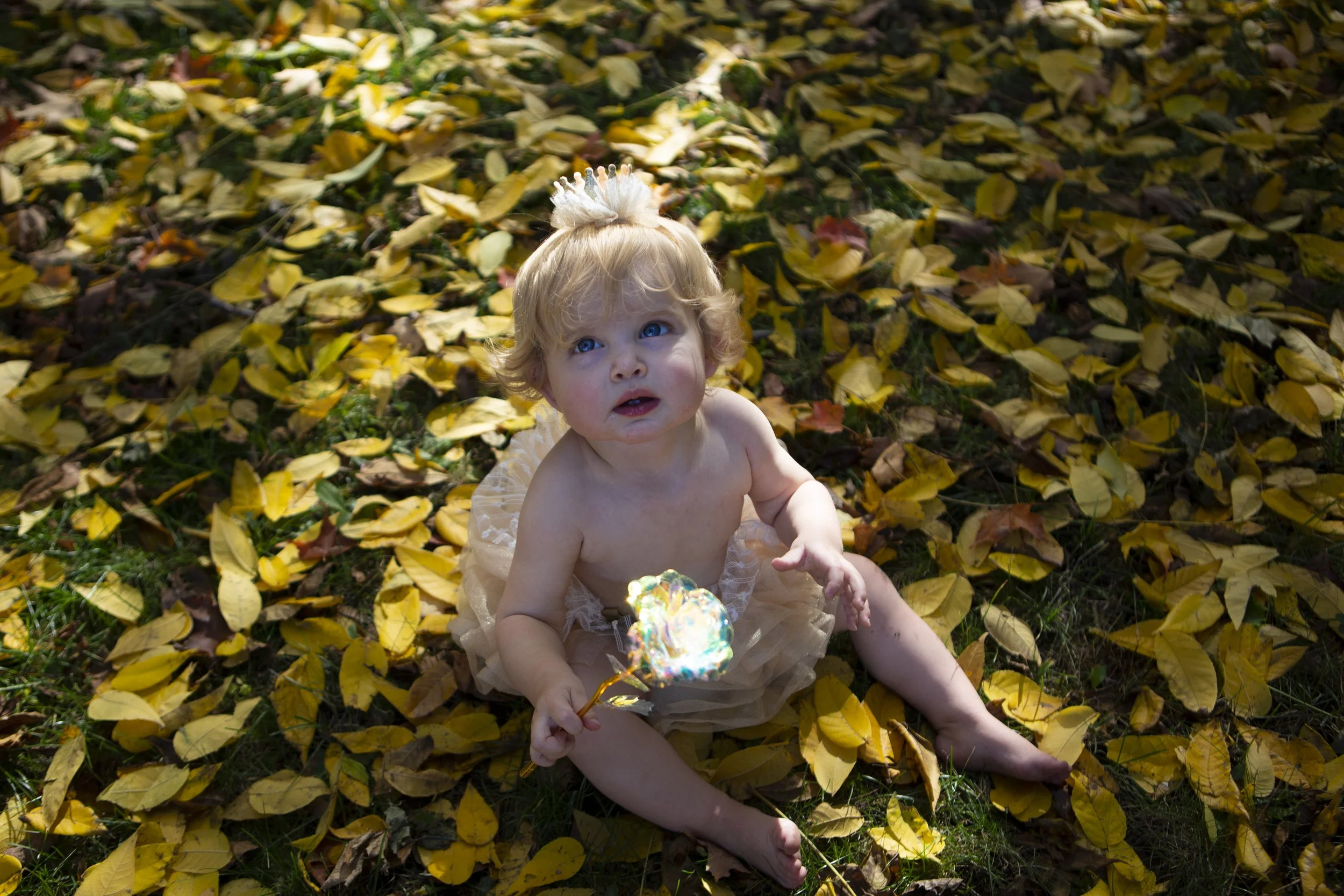FloraOneYearOldShoot01.jpg