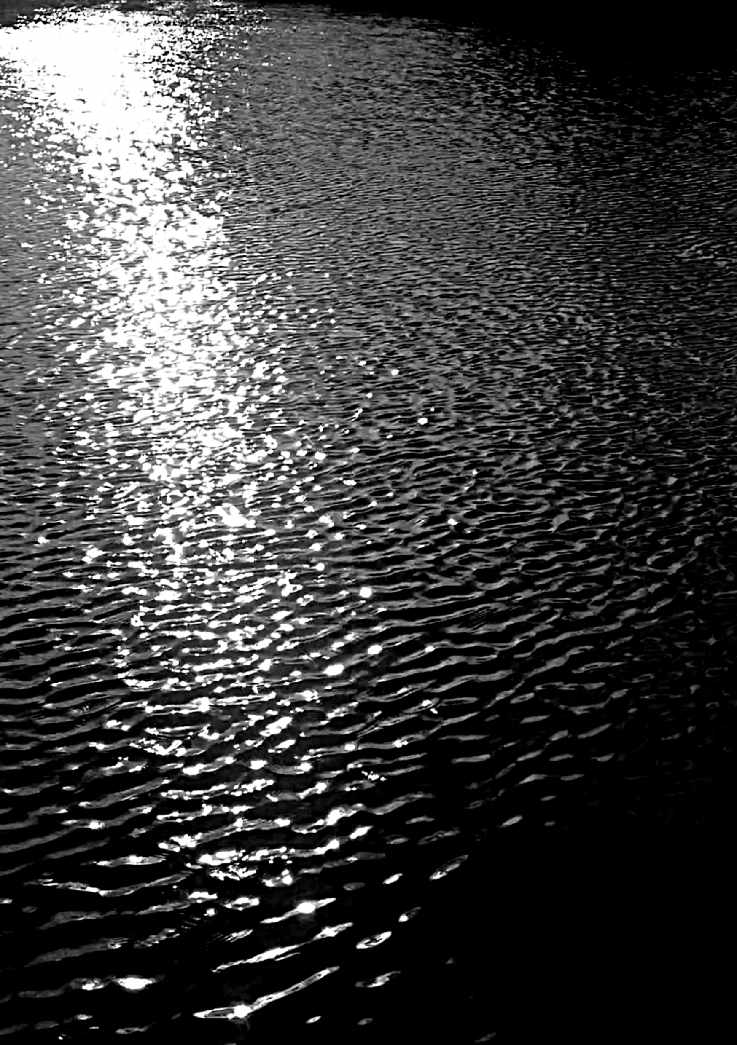 "As I've walked, paddled, balanced but fortunately not swam my way across the canals I have many people to thank for all their help, companionship, perseverance, snacks, wetsuits, canoes, ladders, documentation, humour, moral support and guidance throughout... Many thanks to: Jenny Moore, Ian Rogers (GPA), Log Roper, Richard & Alicja (Centrala), Lisa Meyer, Phil Burrows (Friends of the Earth), Nick Cleaver (C&RT), Ben Waddington, Victoria Pattison-Willits, Kate McLauchlan, Andrew Wong, Amy McLauchlan, Adam Gale and always Matthew Watkins. (Thank you also those who stopped to chat / gongoozle, in particular: Silent Steve, John & Joe and The Canadians)"