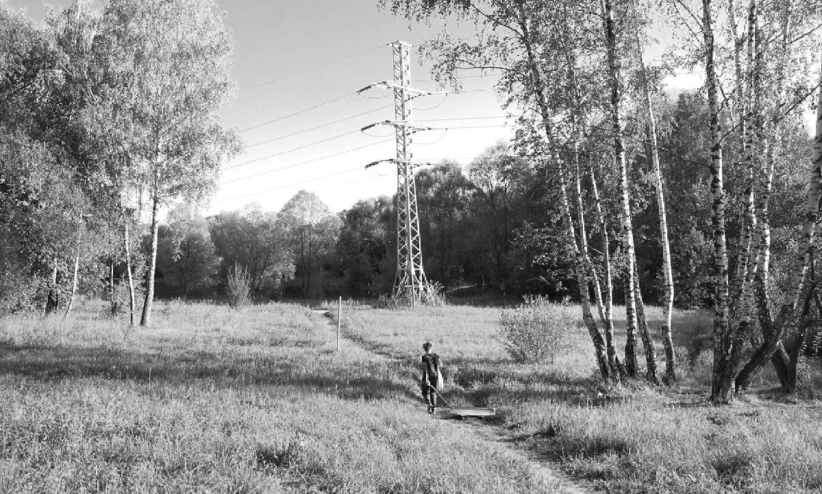 National Losinyy Ostrov Forest, Moscow. Photo © Matthew Watkins