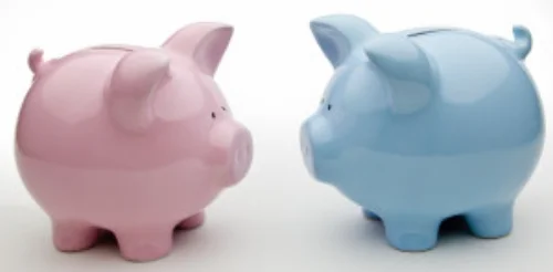blue_and_pink_piggy_banks-300x148.jpg
