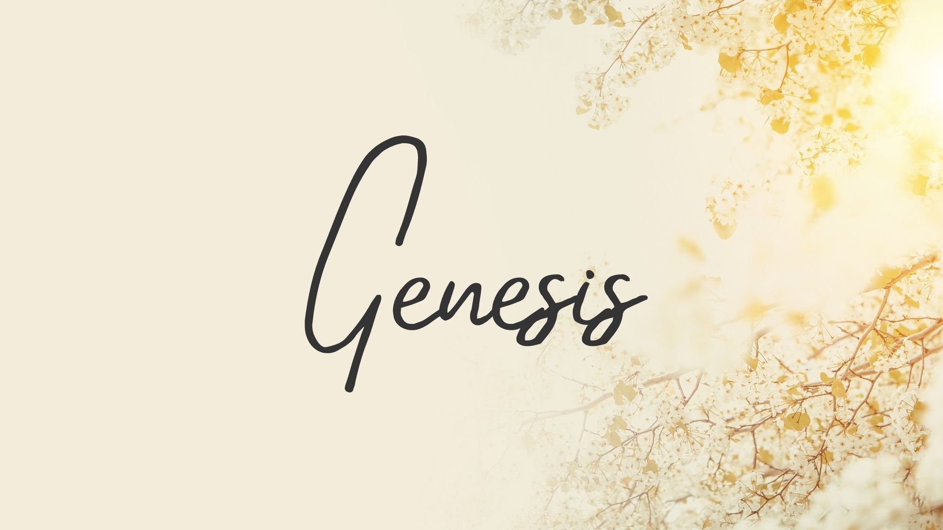 Genesis (1920 × 1080 px).jpg