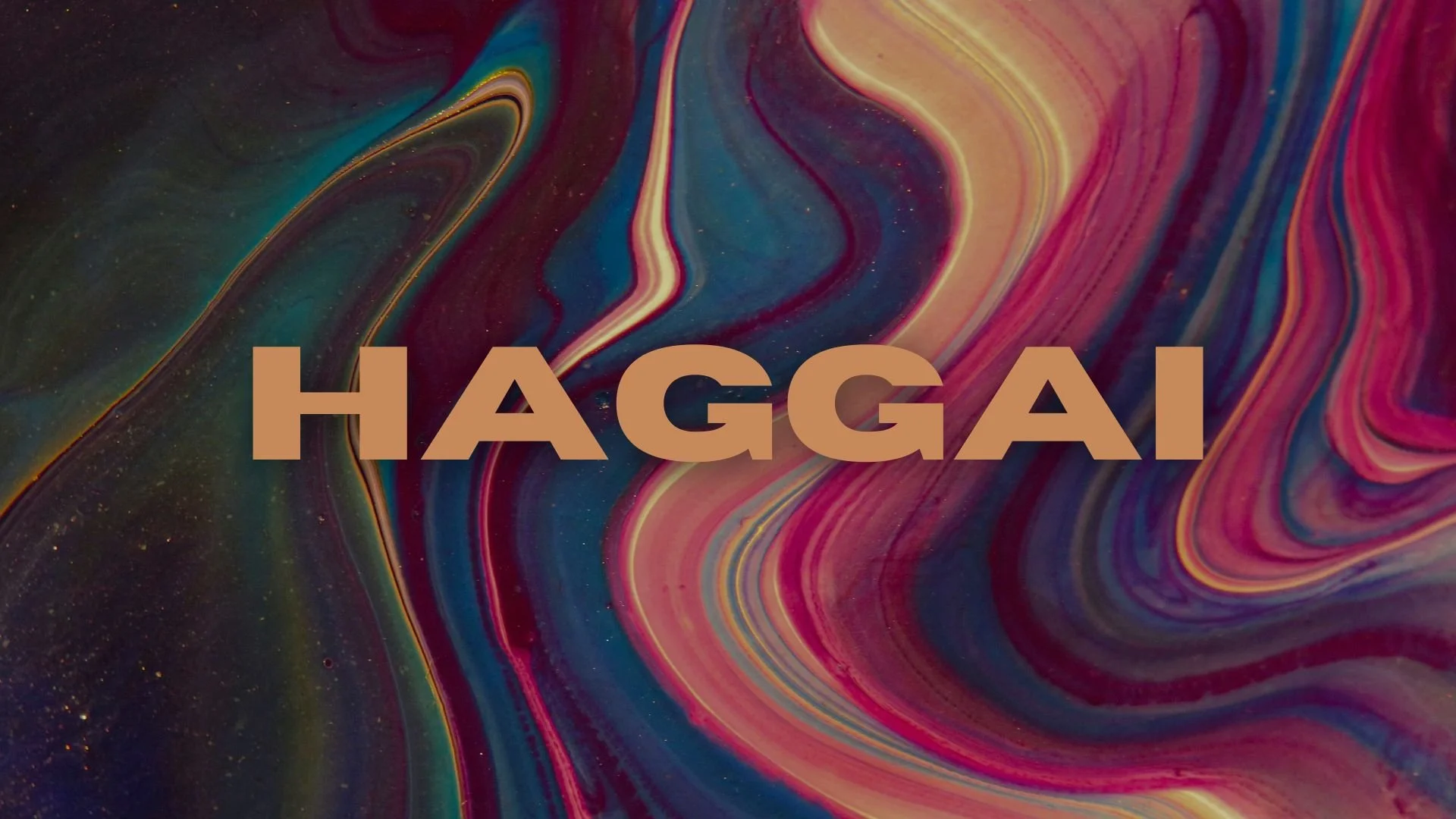 Website Haggai.jpg