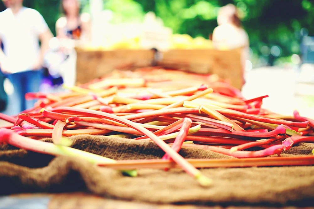rhubarb.jpg
